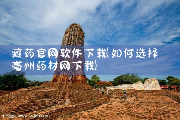 藏药官网软件下载