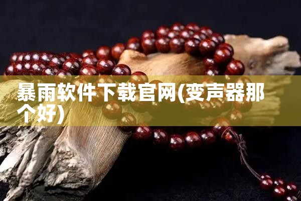 暴雨软件下载官网