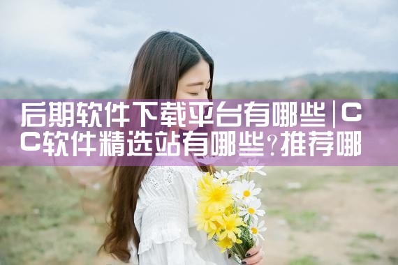 后期软件下载平台有哪些