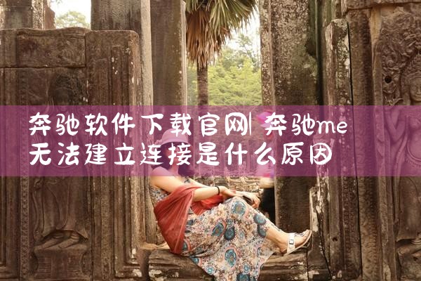 奔驰软件下载官网