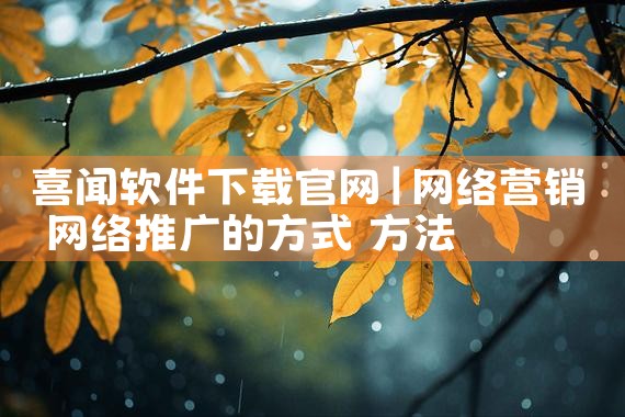 喜闻软件下载官网