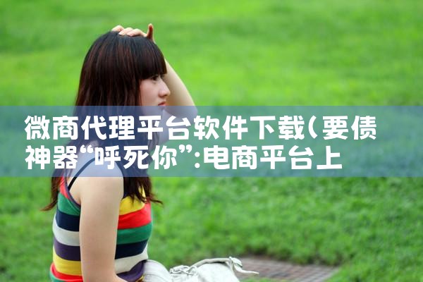 微商代理平台软件下载