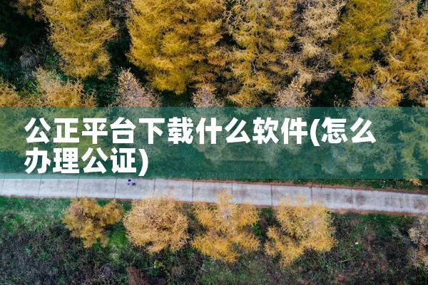 公正平台下载什么软件