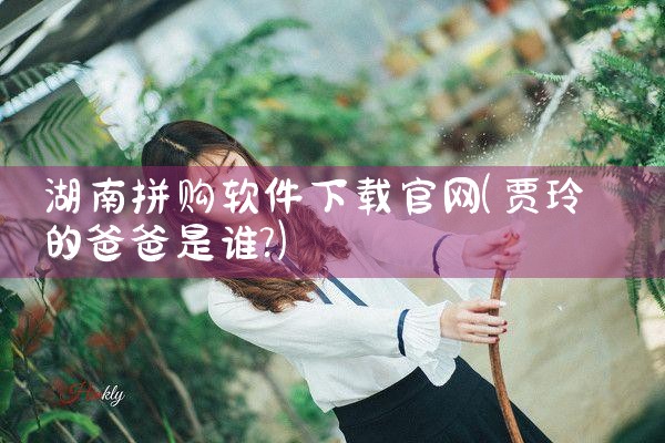 湖南拼购软件下载官网