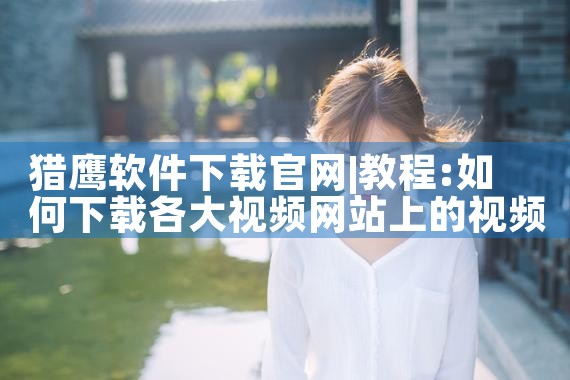 猎鹰软件下载官网