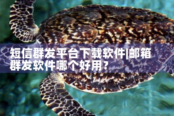 短信群发平台下载软件