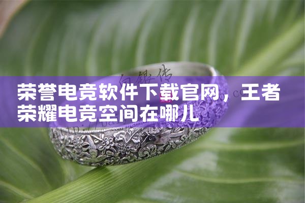 荣誉电竞软件下载官网
