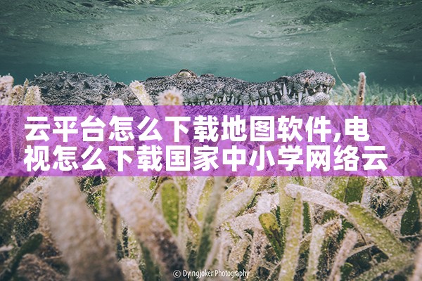 云平台怎么下载地图软件